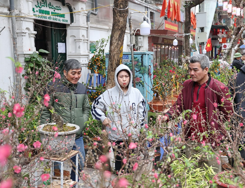 “Sống chậm” ở chợ hoa Hàng Lược  - ảnh 4