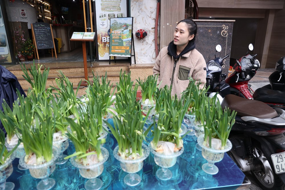 “Sống chậm” ở chợ hoa Hàng Lược  - ảnh 9