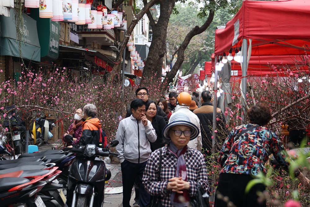 “Sống chậm” ở chợ hoa Hàng Lược  - ảnh 3