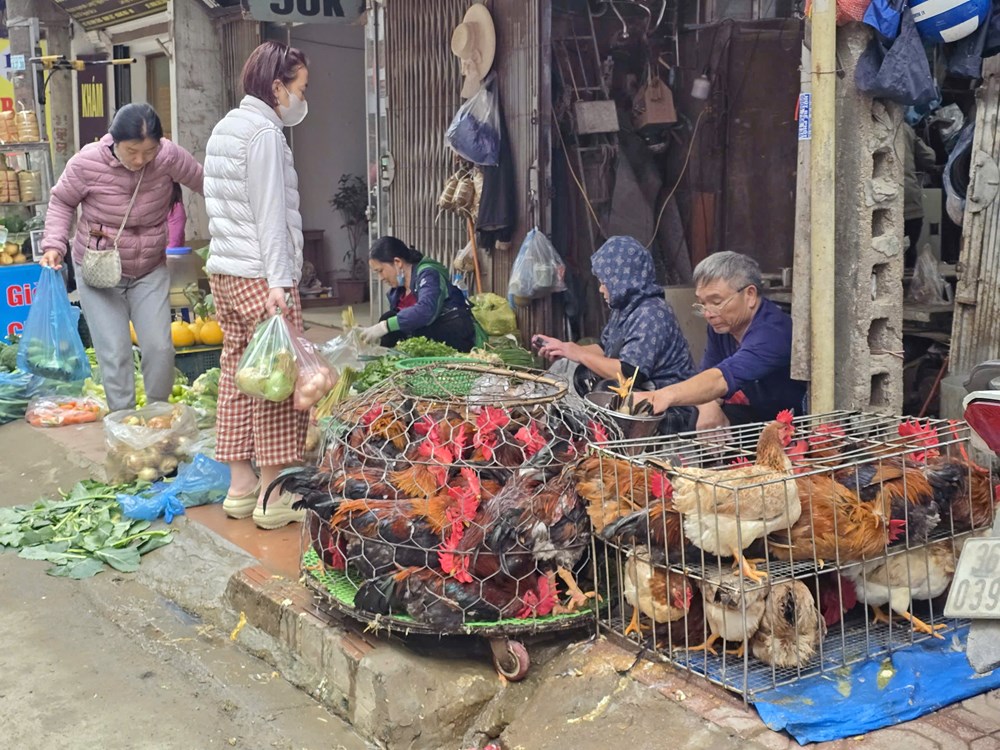 Hồn Tết quê len lỏi giữa nhịp sống đô thị hiện đại - ảnh 12