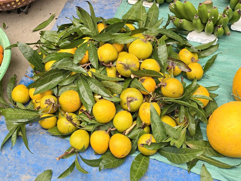 Hồn Tết quê len lỏi giữa nhịp sống đô thị hiện đại - ảnh 16