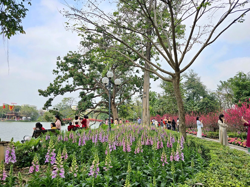  Thảnh thơi dạo phố Hà Nội ngày giáp Tết - ảnh 4