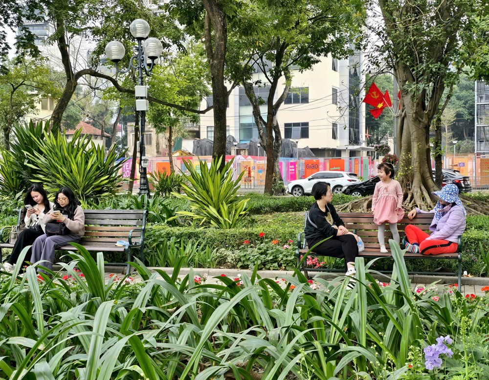  Thảnh thơi dạo phố Hà Nội ngày giáp Tết - ảnh 8