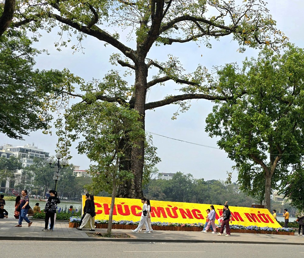  Thảnh thơi dạo phố Hà Nội ngày giáp Tết - ảnh 2