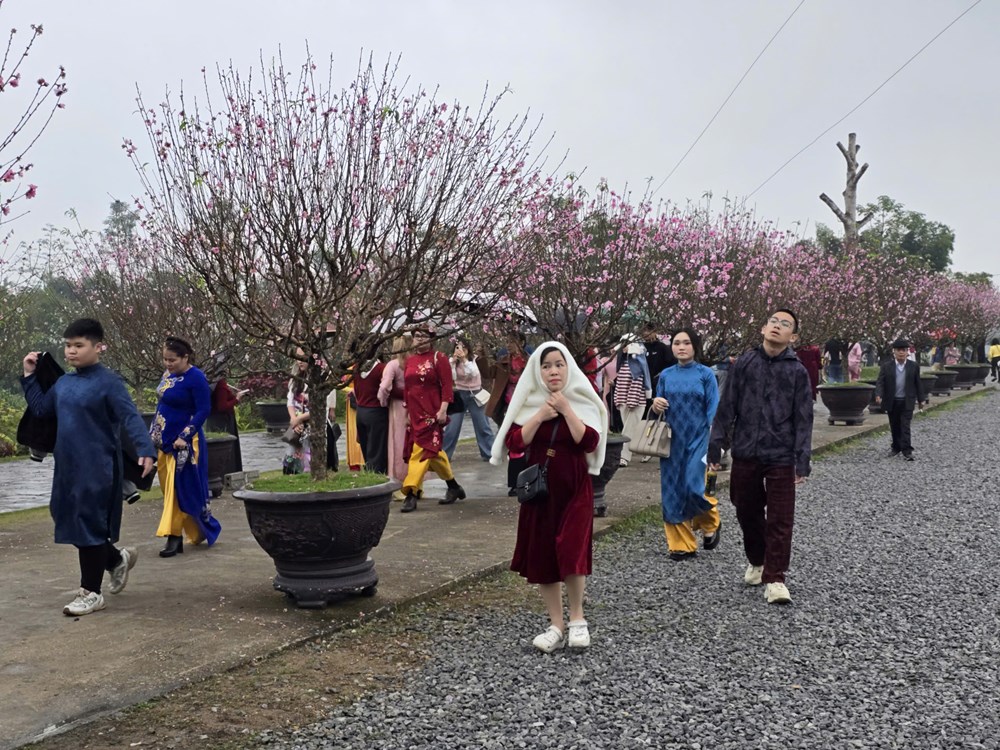 Khách thập phương đội mưa xuân vãn cảnh chùa Địa Tạng Phi Lai  - ảnh 22