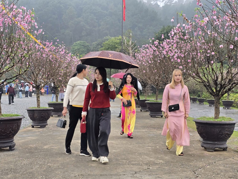 Khách thập phương đội mưa xuân vãn cảnh chùa Địa Tạng Phi Lai  - ảnh 21