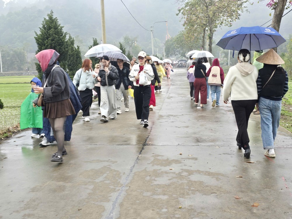 Khách thập phương đội mưa xuân vãn cảnh chùa Địa Tạng Phi Lai  - ảnh 8