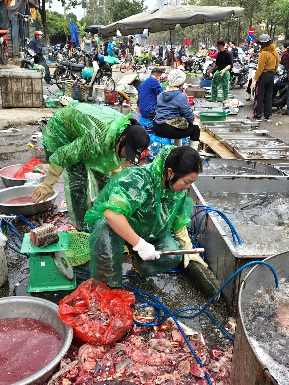 Dân tình hối hả “săn cá” giải ngấy sau Tết - ảnh 1