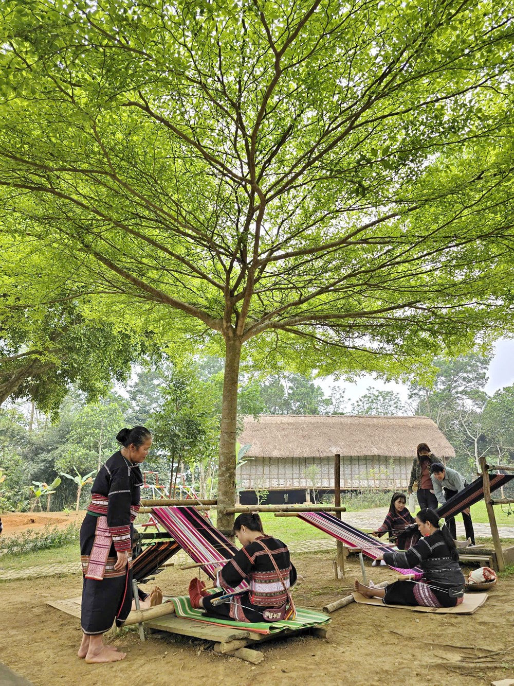 Rộn ràng không khí Ngày hội non sông tại Làng Văn hóa - Du lịch các dân tộc Việt Nam  - ảnh 7