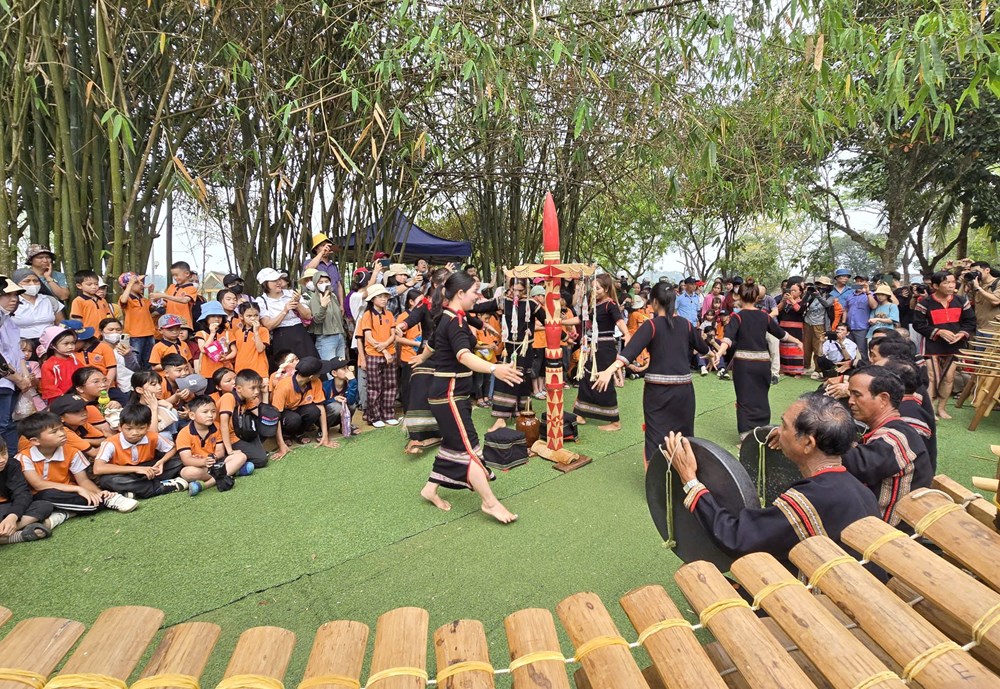 Cần có cơ chế đặc thù để bảo tồn và phát huy văn hóa dân tộc thiểu số đi vào thực chất  - ảnh 3