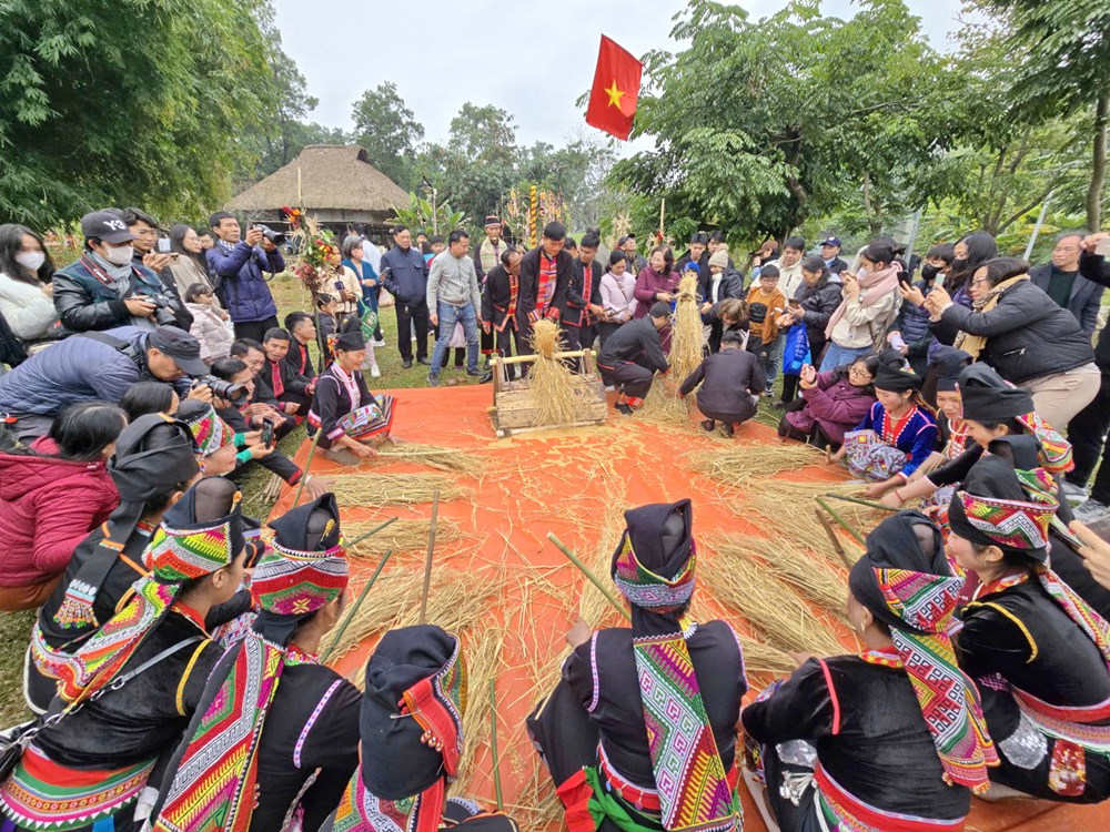 Cần có cơ chế đặc thù để bảo tồn và phát huy văn hóa dân tộc thiểu số đi vào thực chất  - ảnh 2