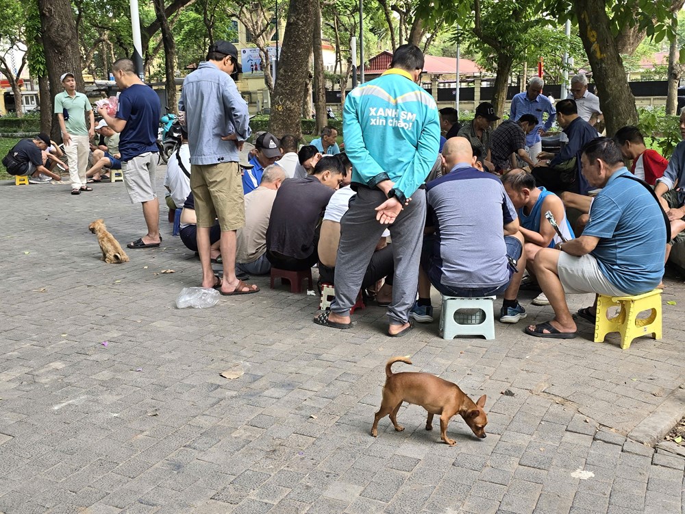 Nhếch nhác và lộn xộn tại Công viên Lê Nin - ảnh 8