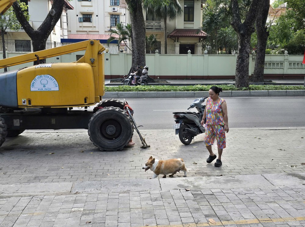 Nhếch nhác và lộn xộn tại Công viên Lê Nin - ảnh 10