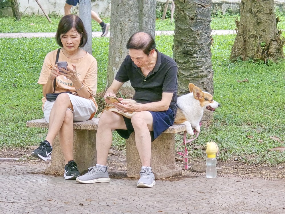 Nỗi bất an của người dân khi đến Công viên Thống Nhất - ảnh 10