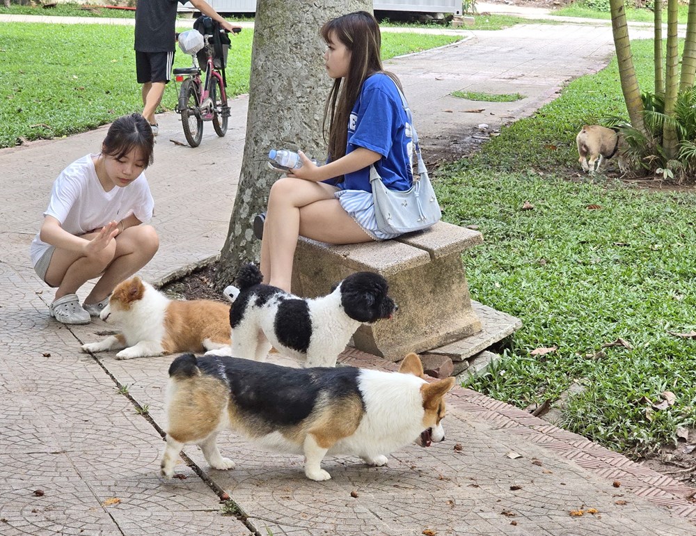 Nỗi bất an của người dân khi đến Công viên Thống Nhất - ảnh 9