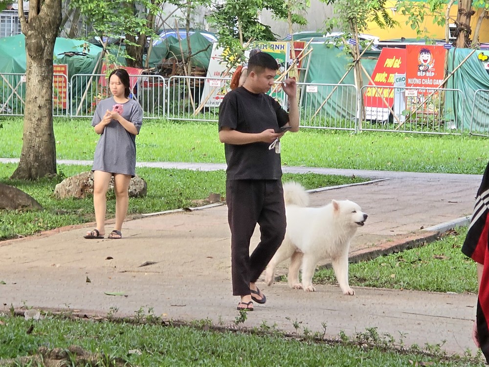 Nỗi bất an của người dân khi đến Công viên Thống Nhất - ảnh 13