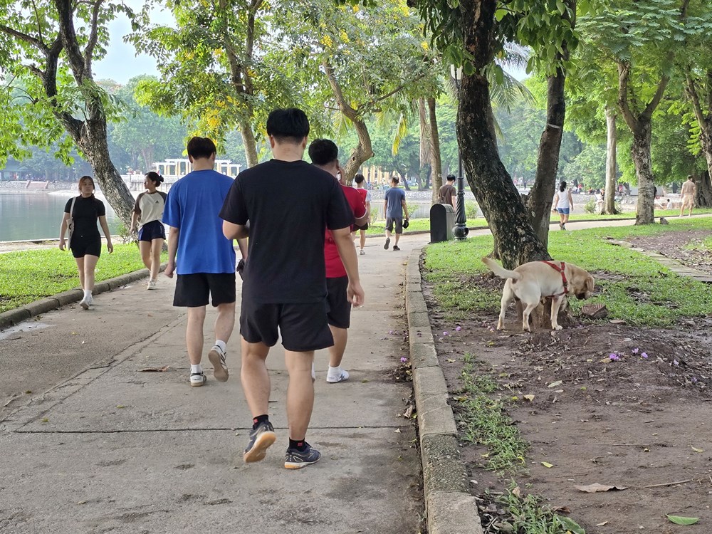 Nỗi bất an của người dân khi đến Công viên Thống Nhất - ảnh 5