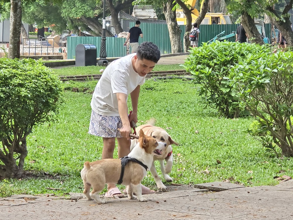 Nỗi bất an của người dân khi đến Công viên Thống Nhất - ảnh 7