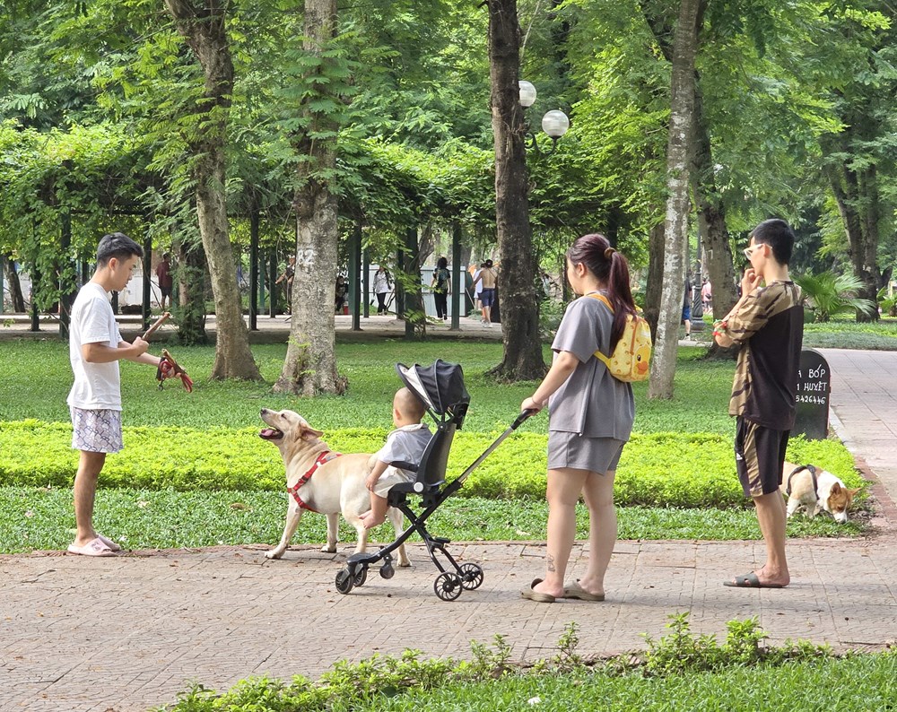 Nỗi bất an của người dân khi đến Công viên Thống Nhất - ảnh 14
