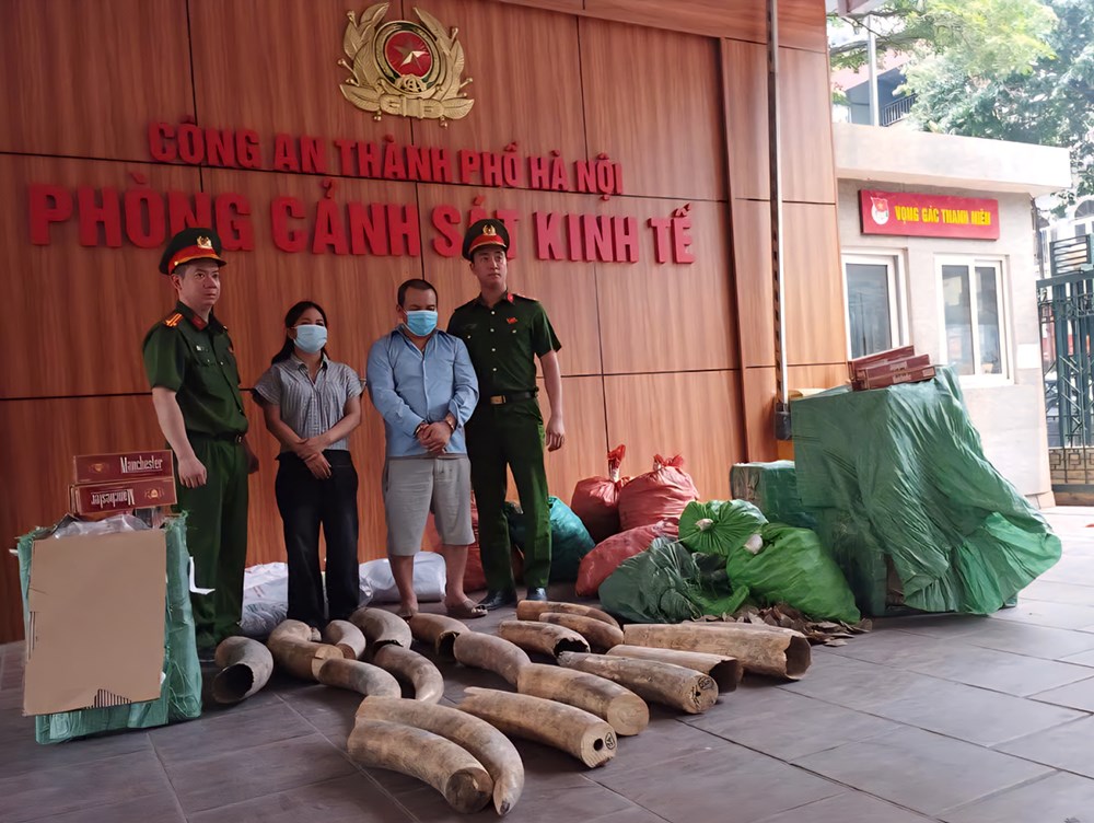 Bắt giữ đường dây vận chuyển, mua bán ngà voi và thuốc lá lậu - ảnh 1