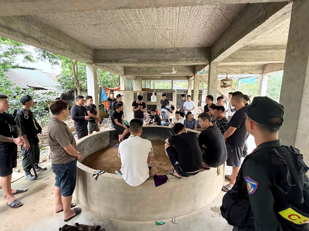 Bắt giữ 19 đối tượng “chọi gà ăn tiền” tại Tuyên Quang - ảnh 1