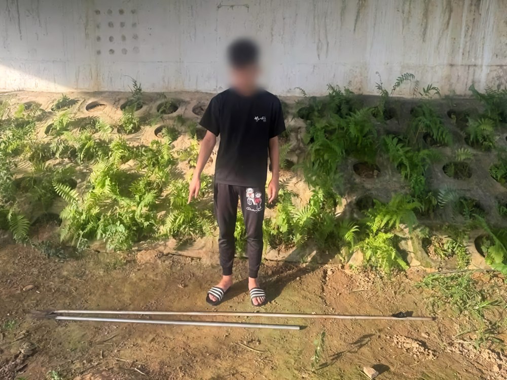 Báo động tình trạng thanh thiếu niên mang hung khí gây rối trật tự công cộng - ảnh 2