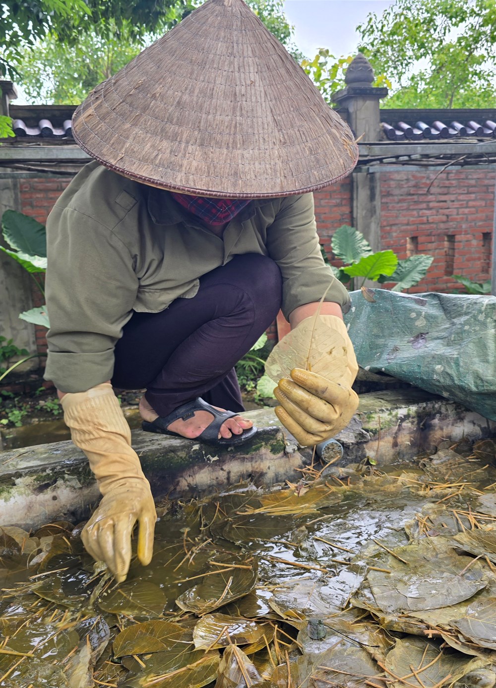 Biến lá bồ đề thành tác phẩm nghệ thuật giá trị - ảnh 4