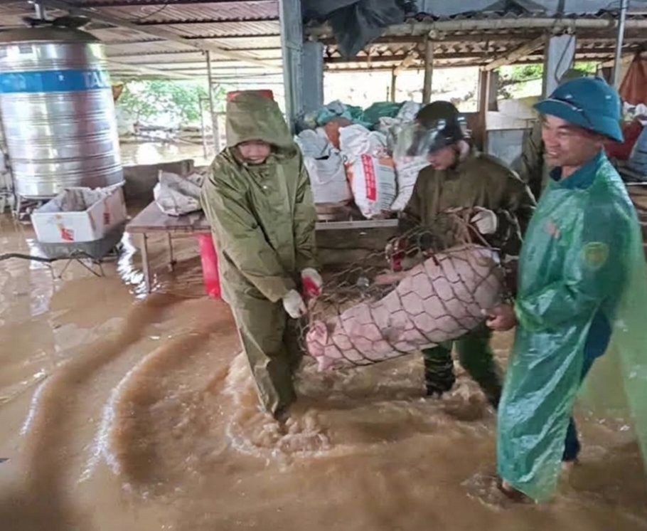 Phú Thọ: Chủ động “4 tại chỗ” ứng phó mưa lũ - ảnh 3