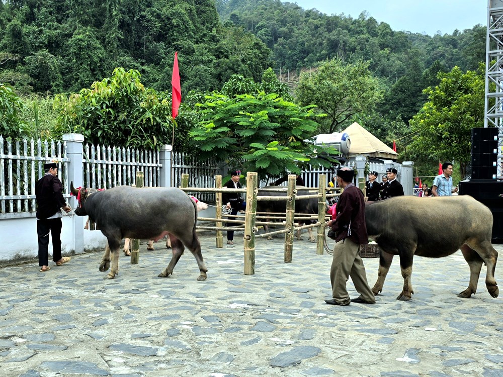 Nét đẹp nhân văn trong lễ Sú khon khoài của người Lự - ảnh 2
