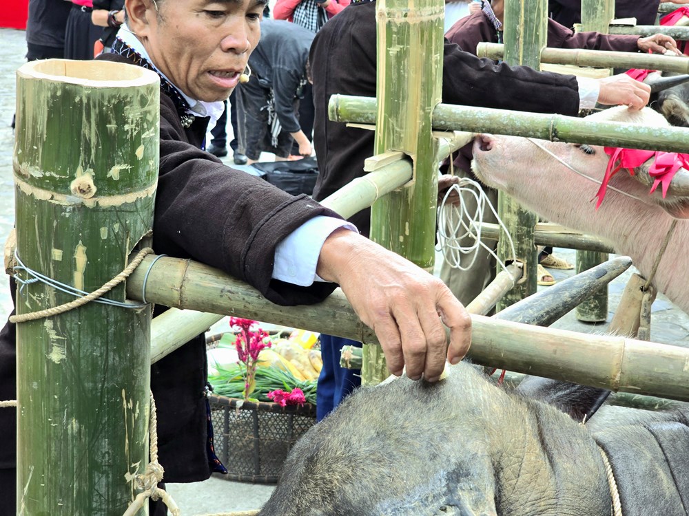 Nét đẹp nhân văn trong lễ Sú khon khoài của người Lự - ảnh 7