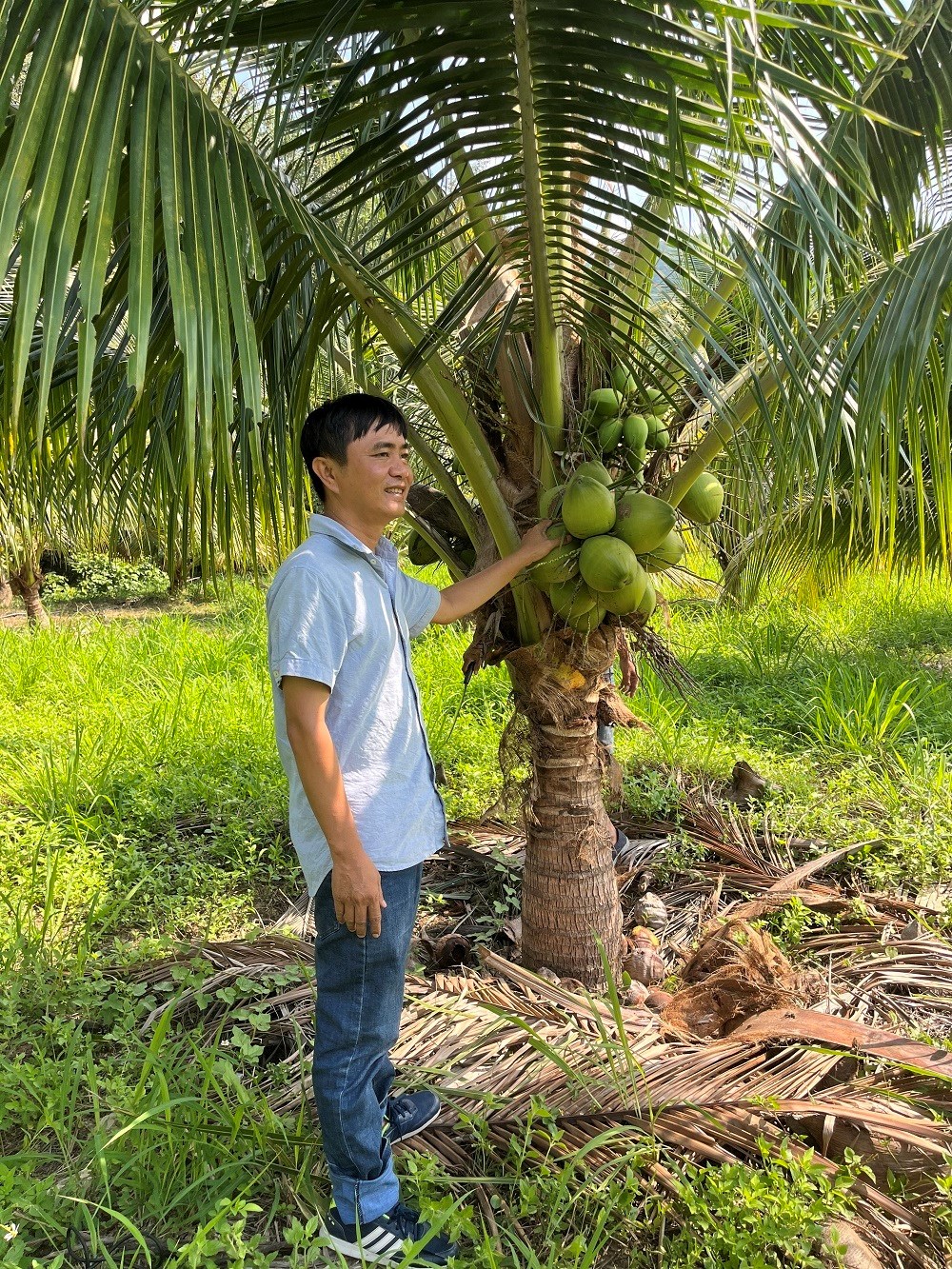 Nâng tầm thương hiệu dừa, phục vụ du khách - ảnh 2