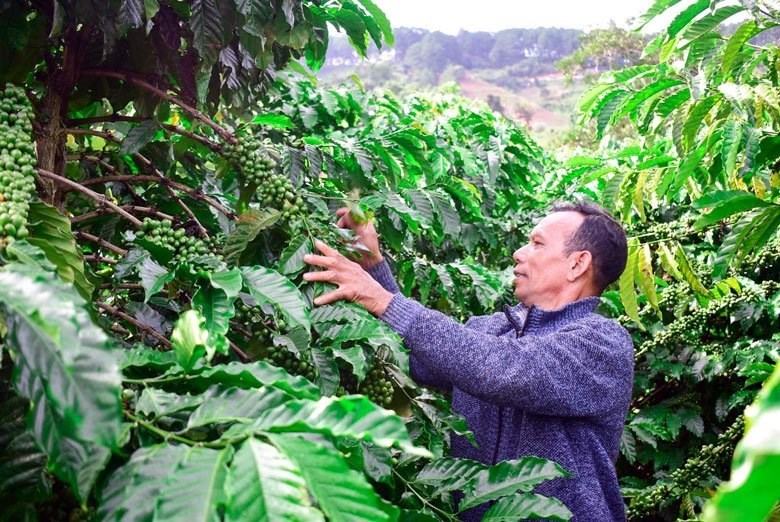 Đà Lạt: Vùng đồng bào DTTS chuyển biến tích cực - ảnh 1