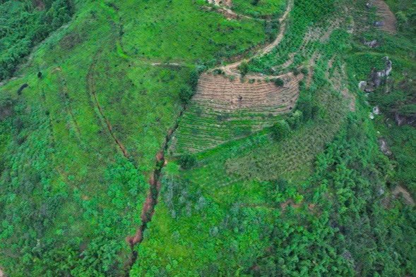 Lâm Đồng: Chính quyền thông tin về vết nứt kéo dài cả 100m trên đồi - ảnh 1