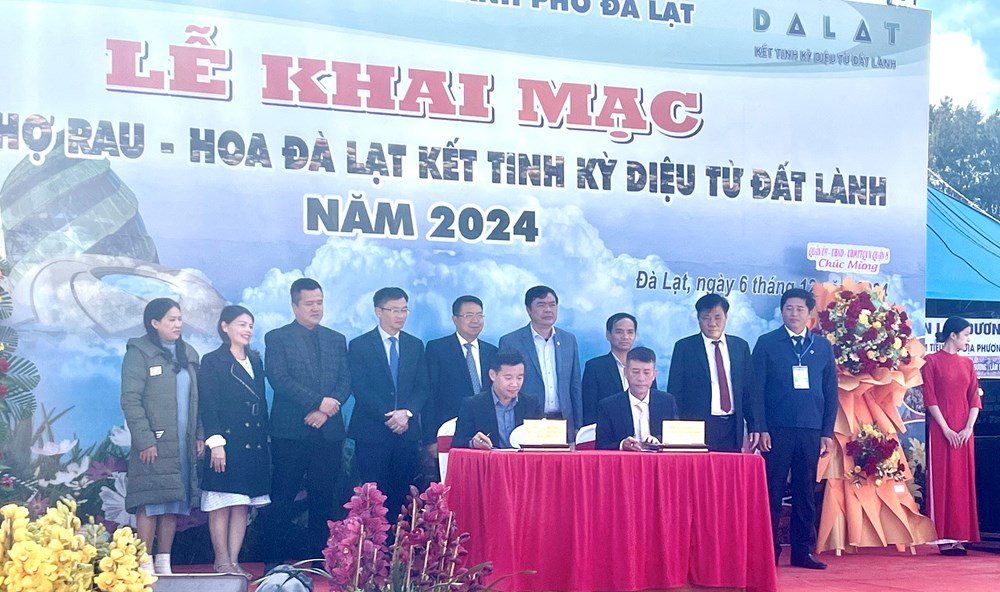 Đà Lạt: Hút du khách bằng sản phẩm Rau, Hoa - ảnh 5