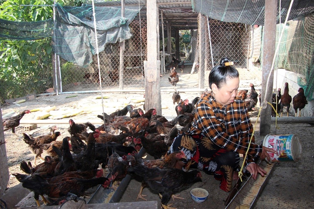 Vượt lên… khuyết tật - ảnh 1