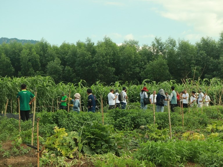 Chuyện bảo tồn văn hóa đồng bào của ông chủ Farm Sản Việt - ảnh 6