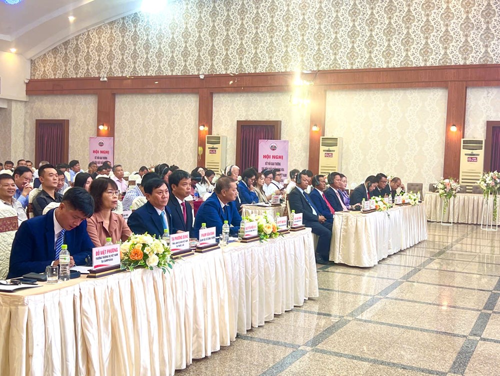 Tăng cường kết nối giao thương giữa DN Gia Lai với DN nước ngoài - ảnh 4