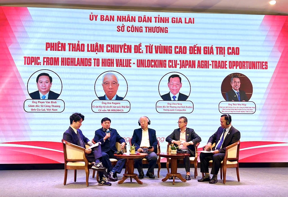 Tăng cường kết nối giao thương giữa DN Gia Lai với DN nước ngoài - ảnh 1