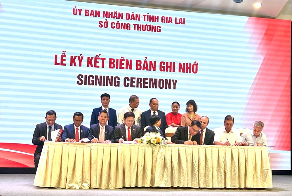 Tăng cường kết nối giao thương giữa DN Gia Lai với DN nước ngoài - ảnh 3