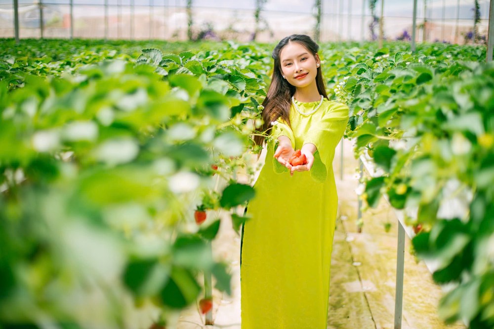 Tận dụng tiềm năng, thế mạnh để phát triển du lịch Đà Lạt - ảnh 4