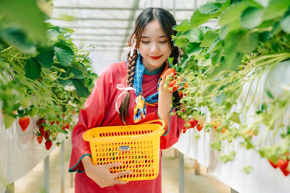 Tận dụng tiềm năng, thế mạnh để phát triển du lịch Đà Lạt - ảnh 2