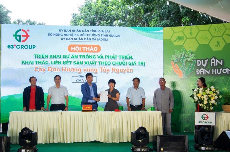Gia Lai: Phát triển cây đàn hương tại vùng biên Ia Dom - ảnh 1