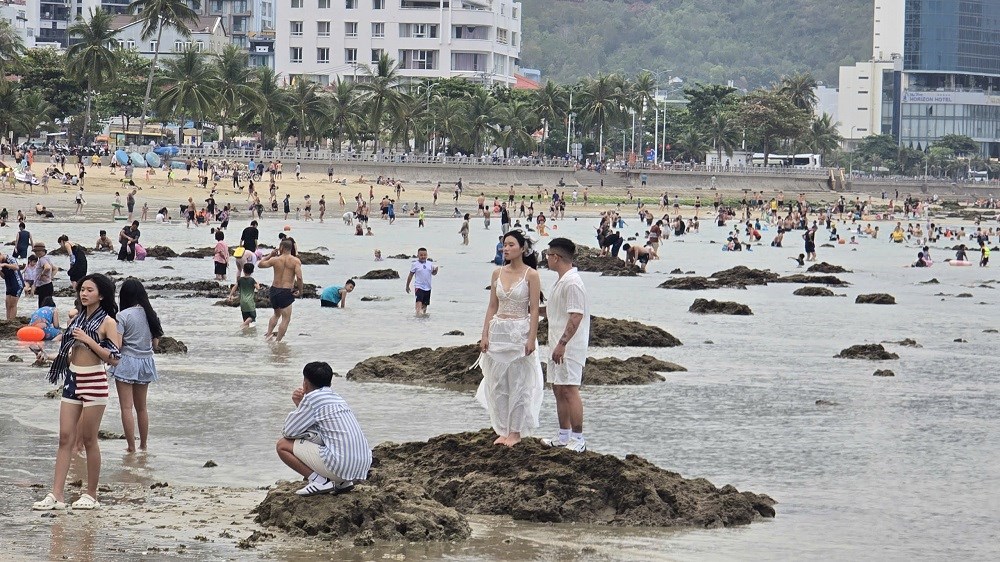 Tăng cường bảo vệ rạn san hô vịnh Nha Trang - ảnh 1