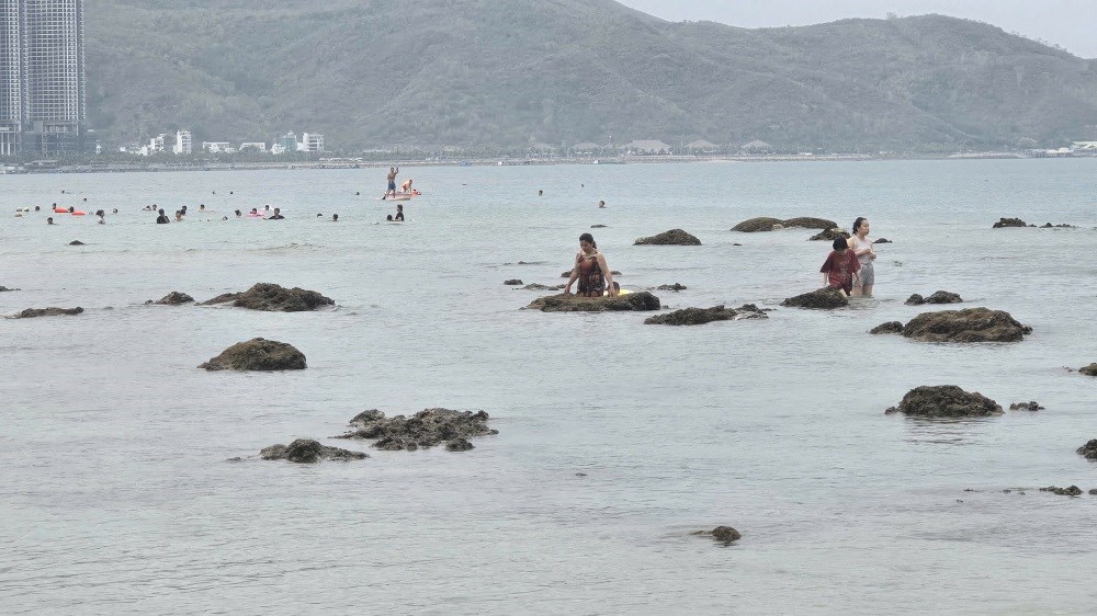 Tăng cường bảo vệ rạn san hô vịnh Nha Trang - ảnh 6
