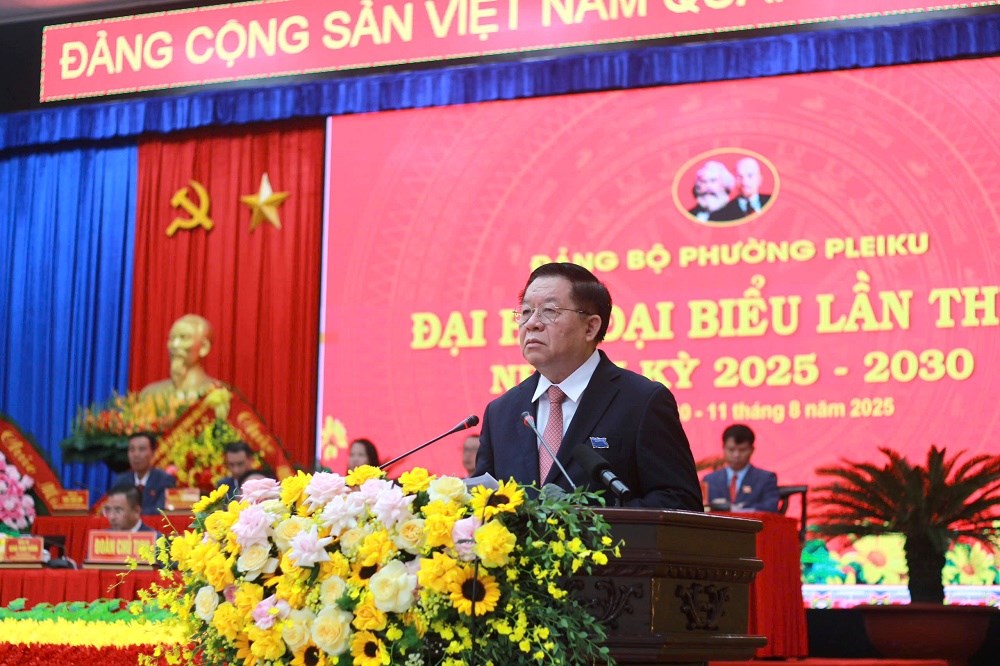 Xây dựng phường Pleiku trở thành điểm đến xanh, văn minh, giàu bản sắc - ảnh 1