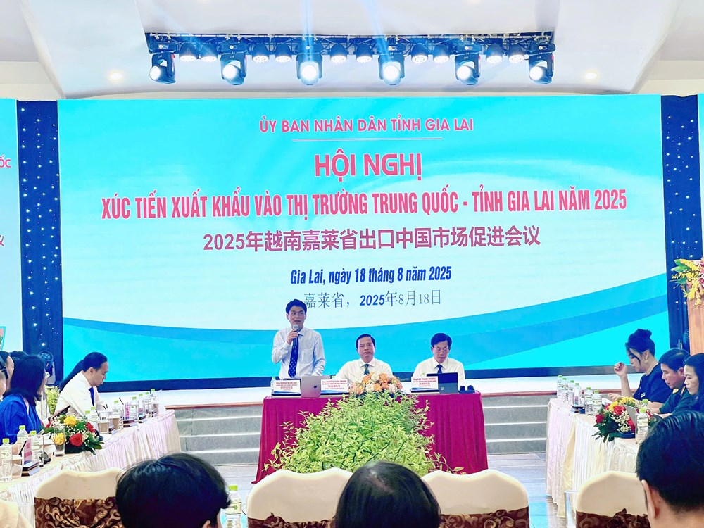 Gia Lai: Xúc tiến kết nối, xuất khẩu vào thị trường Trung Quốc - ảnh 1