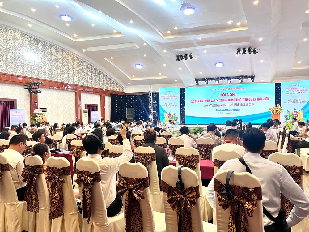 Gia Lai: Xúc tiến kết nối, xuất khẩu vào thị trường Trung Quốc - ảnh 3