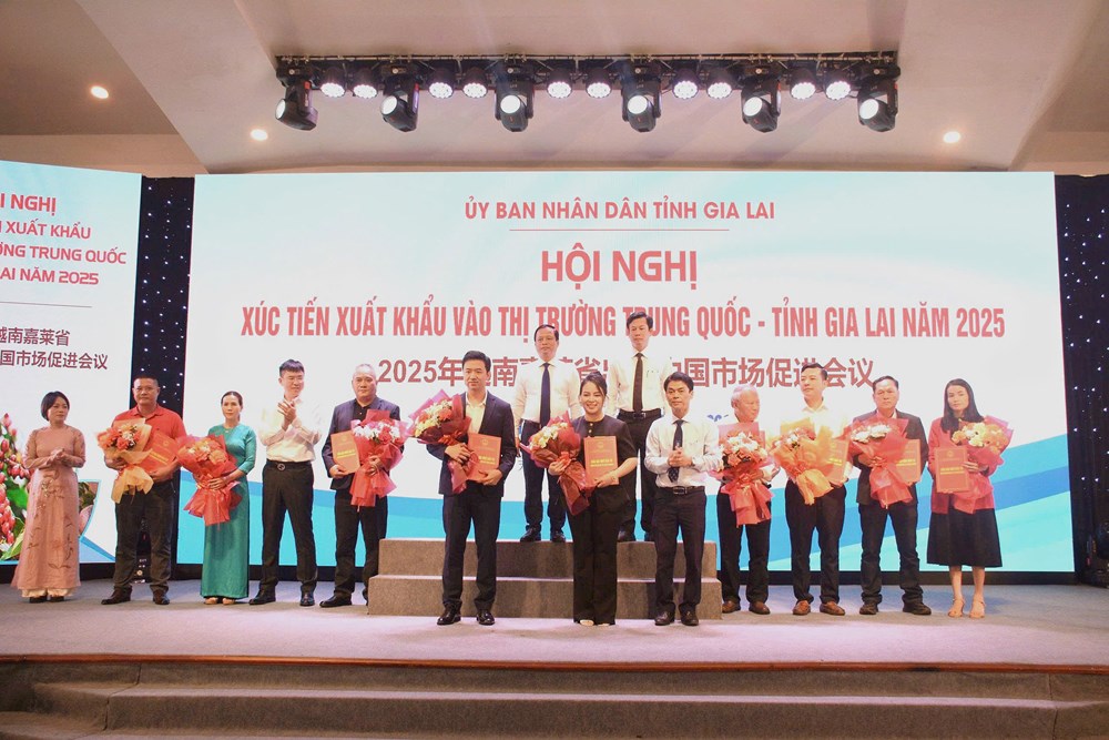 Gia Lai: Xúc tiến kết nối, xuất khẩu vào thị trường Trung Quốc - ảnh 4
