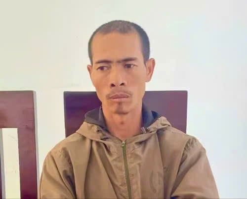 Gia Lai: Anh rể lĩnh án vì chặt phá vườn cà phê, hồ tiêu của em vợ - ảnh 1
