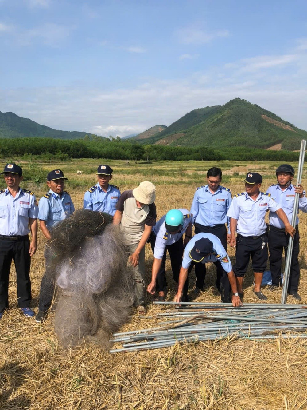 Khánh Hòa: Lại liên tiếp phát hiện các vụ bẫy chim yến trái phép - ảnh 1